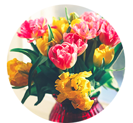 Anniversary Flowers Seven Sisters